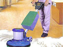 服务项目：地毯清洗保洁